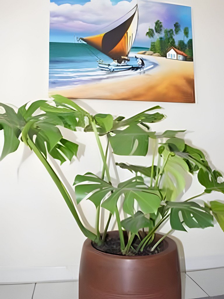 Suíte ampla com vista para praia e café da manhã!